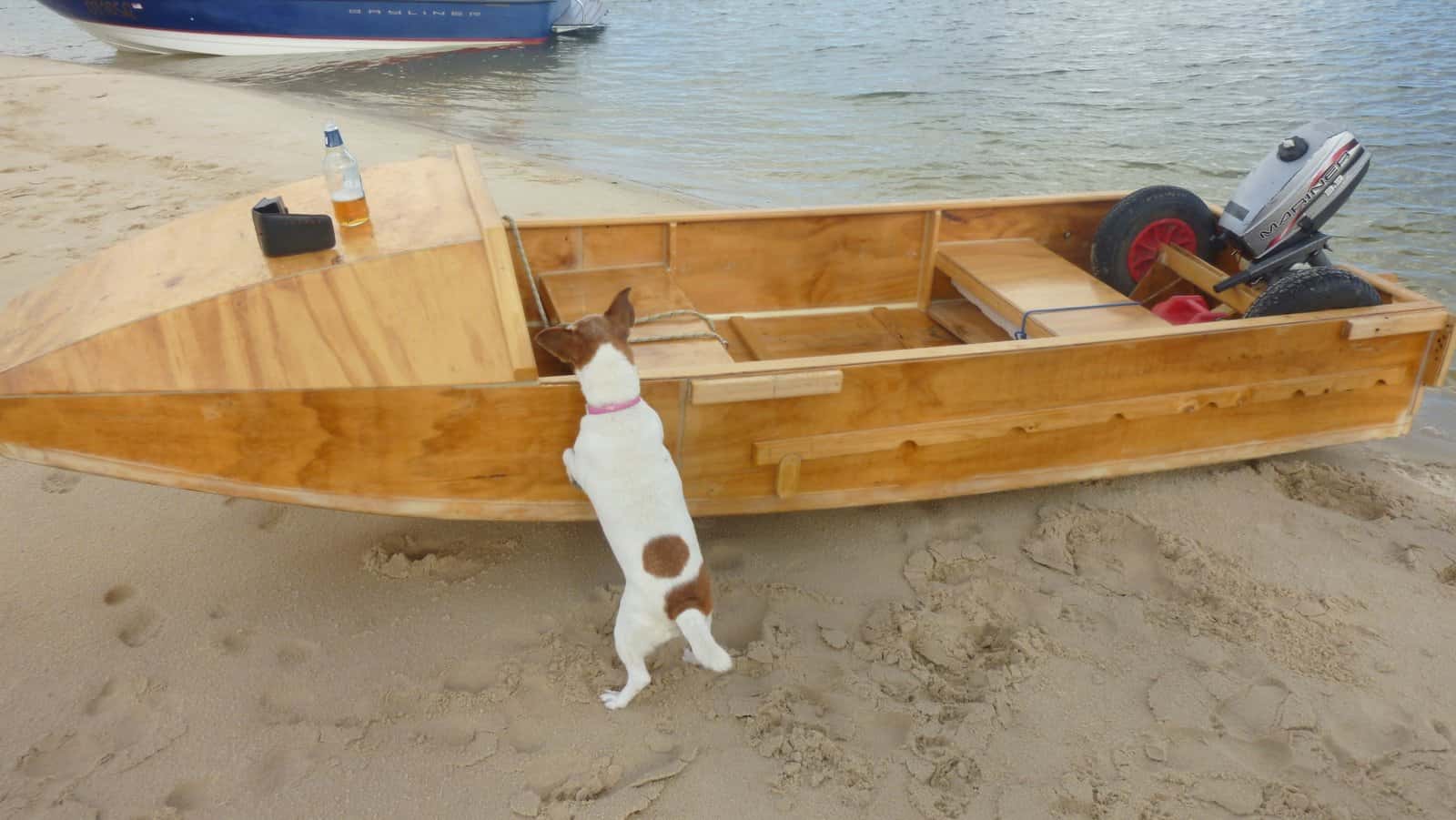 Noosa boat